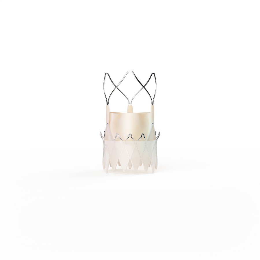 ACURATE neo2™ Aortic Valve System