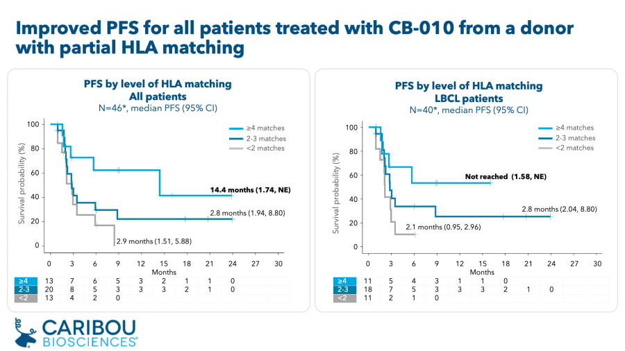 ANTLER Phase 1 trial of CB-010 – median PFS analyses