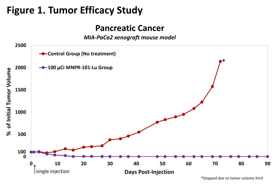 Figure 1. Tumor Efficacy Study