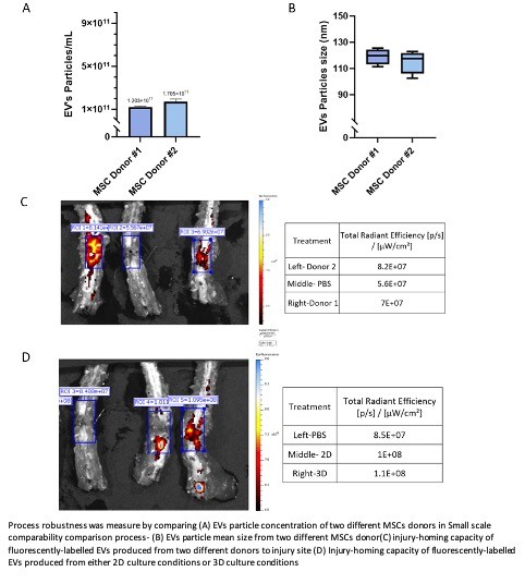 Fig. 1: Analysis of Properties and Homing Capability of Exosomes Produced from Different Donors