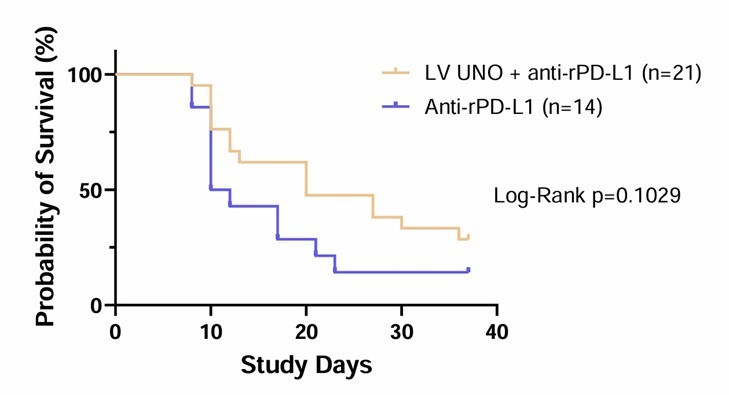 LV UNO and Anti-rPD-L1 Doubled Survival by Day 37 versus Anti-rPD-L1 Alone