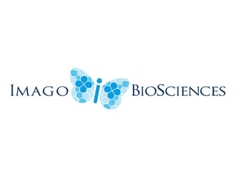 Imago BioSciences doses first participant in phase 2 study of bomedemstat in combination with ruxolitinib for the treatment of myelofibrosis